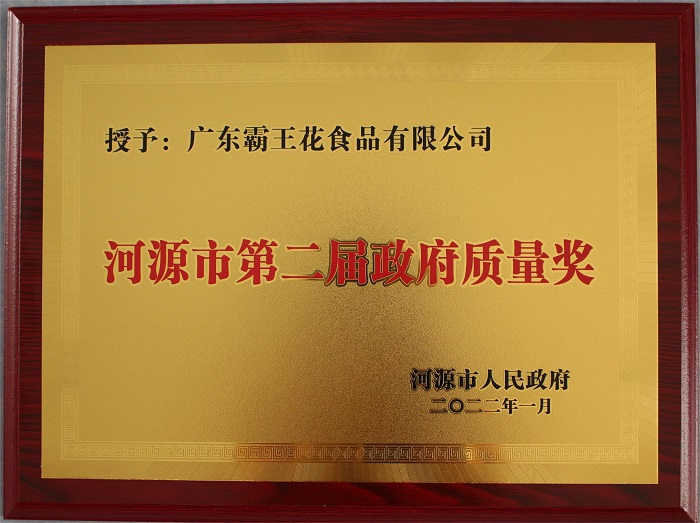 河源市第二屆政府質量獎