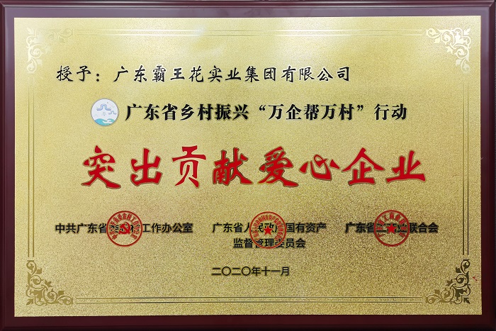 廣東省鄉村振興“萬企幫萬村”行動“突出貢獻愛心企業”